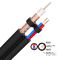 20AWG CCTV Camera Coaxial TV Cable With 2 Cores 305m